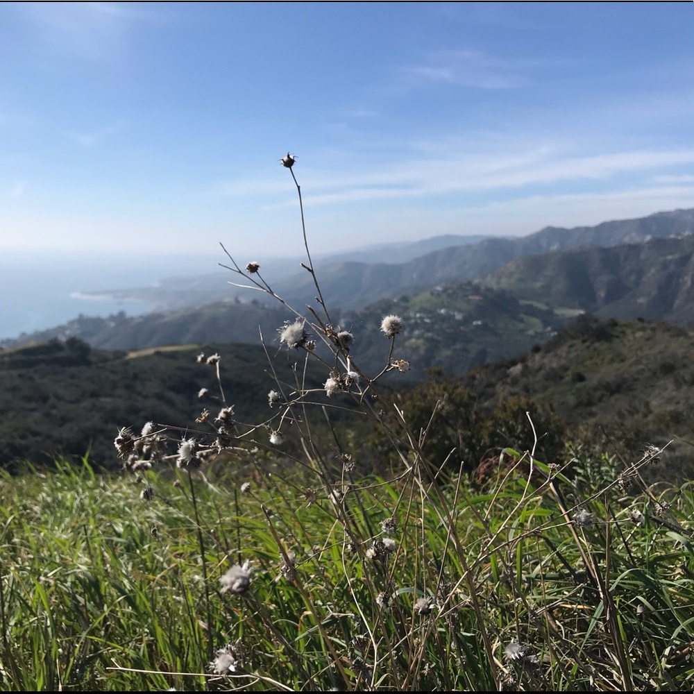 Meet your Posher, mynyccloset212